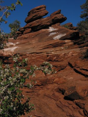 Zion National Park Pictures