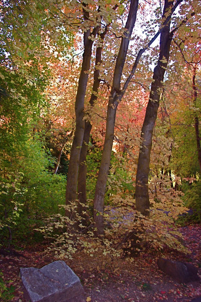 Mill Creek Canyon