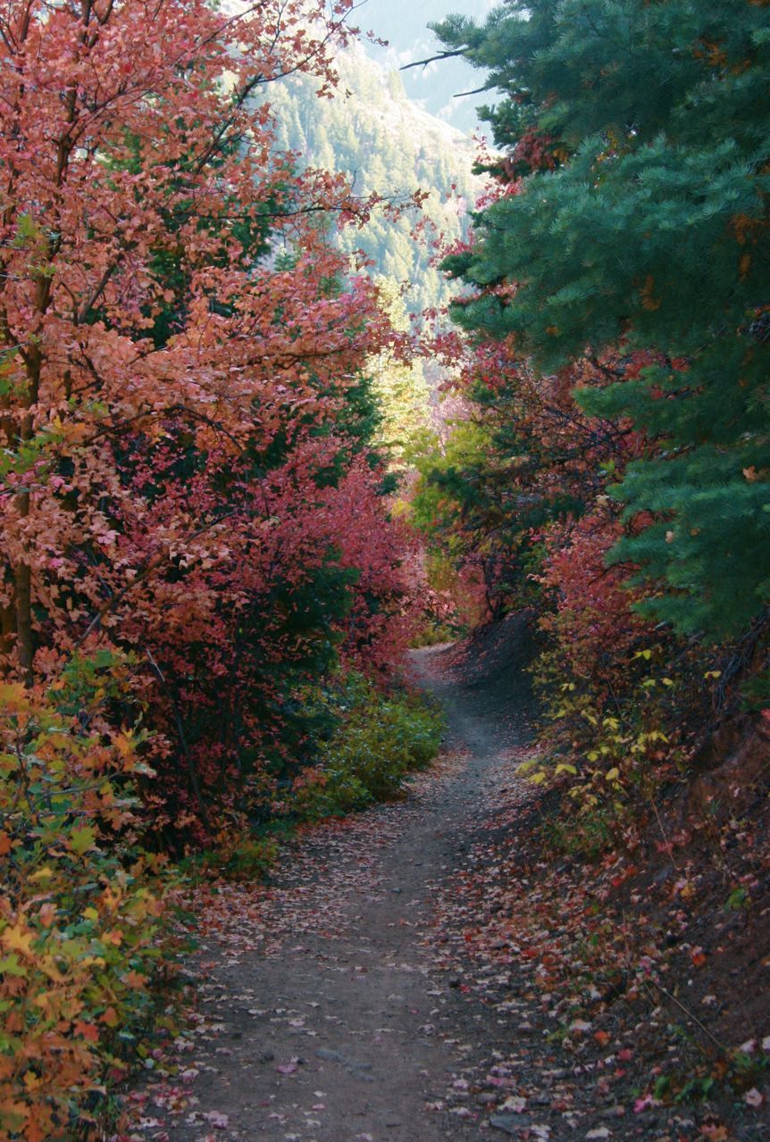 Mill Creek Canyon