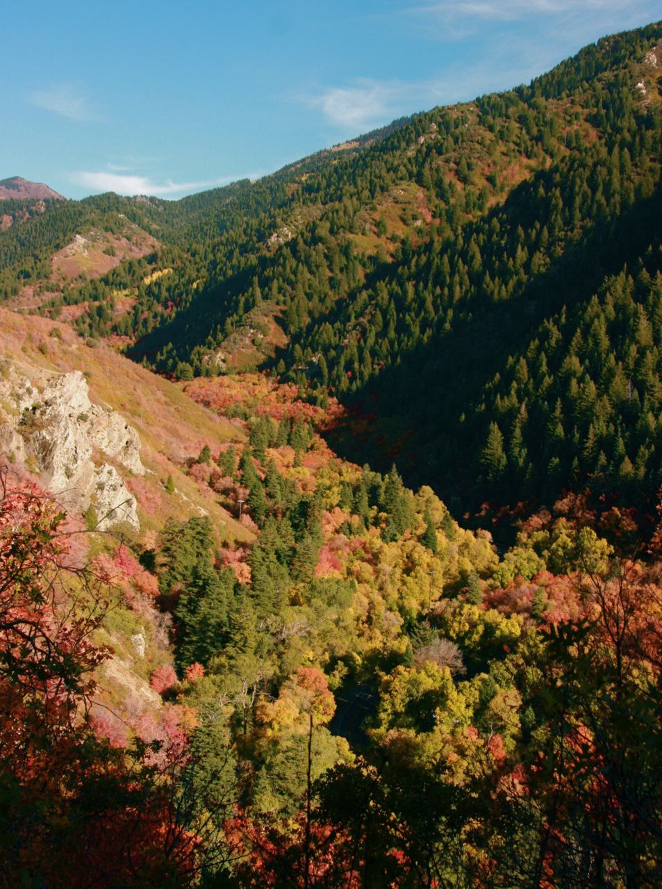 Mill Creek Canyon