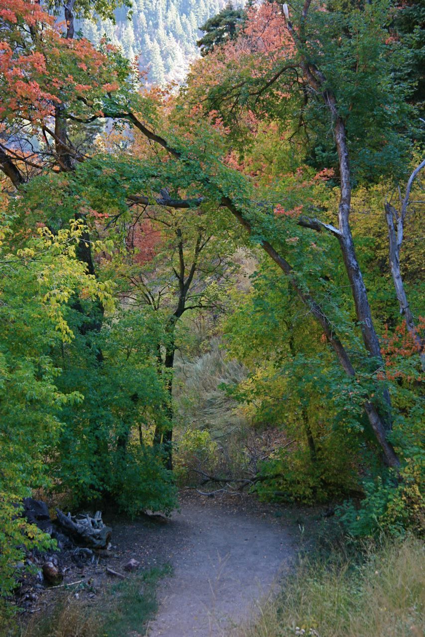 Mill Creek Canyon